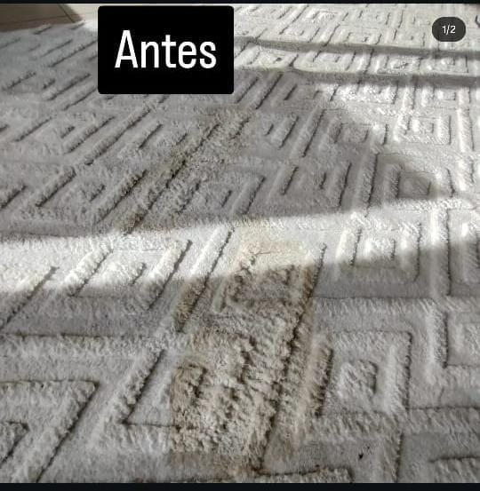 Alfombra con manchas antes del tratamiento de higienización
