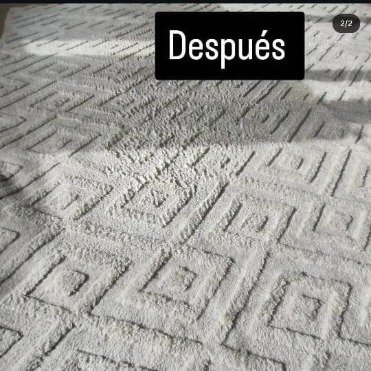 Alfombra higienizada y seca después del tratamiento de VentoClean